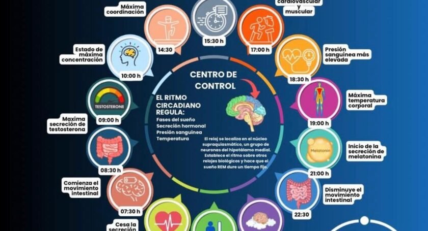 Escuchar el reloj de tu cuerpo: el bienestar y los ritmos circadianos